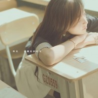 word中多页显示